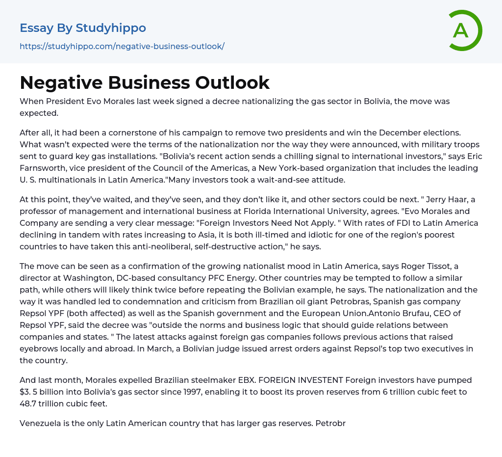 Negative Business Outlook Essay Example