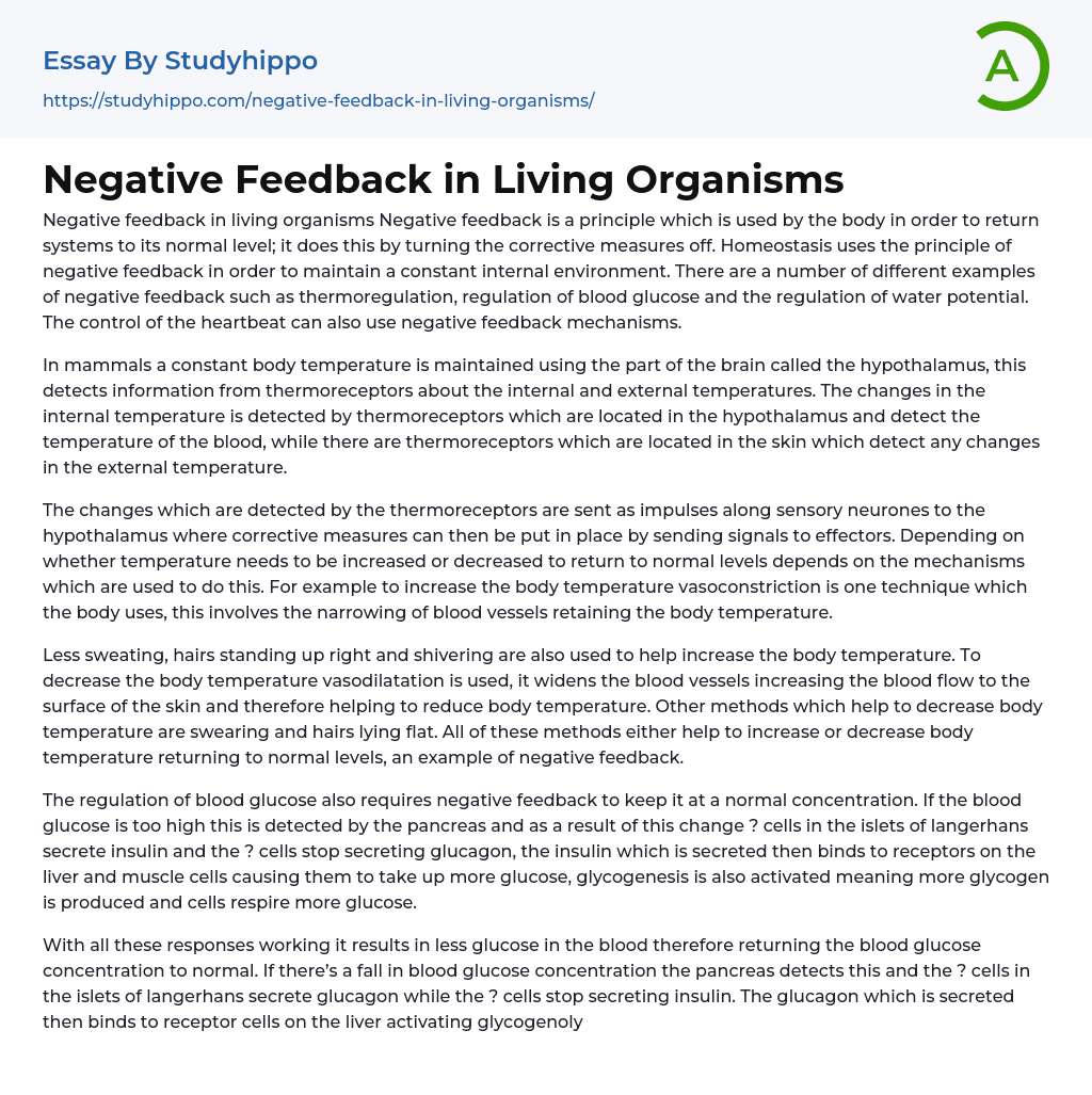 write an essay on negative feedback in living organisms
