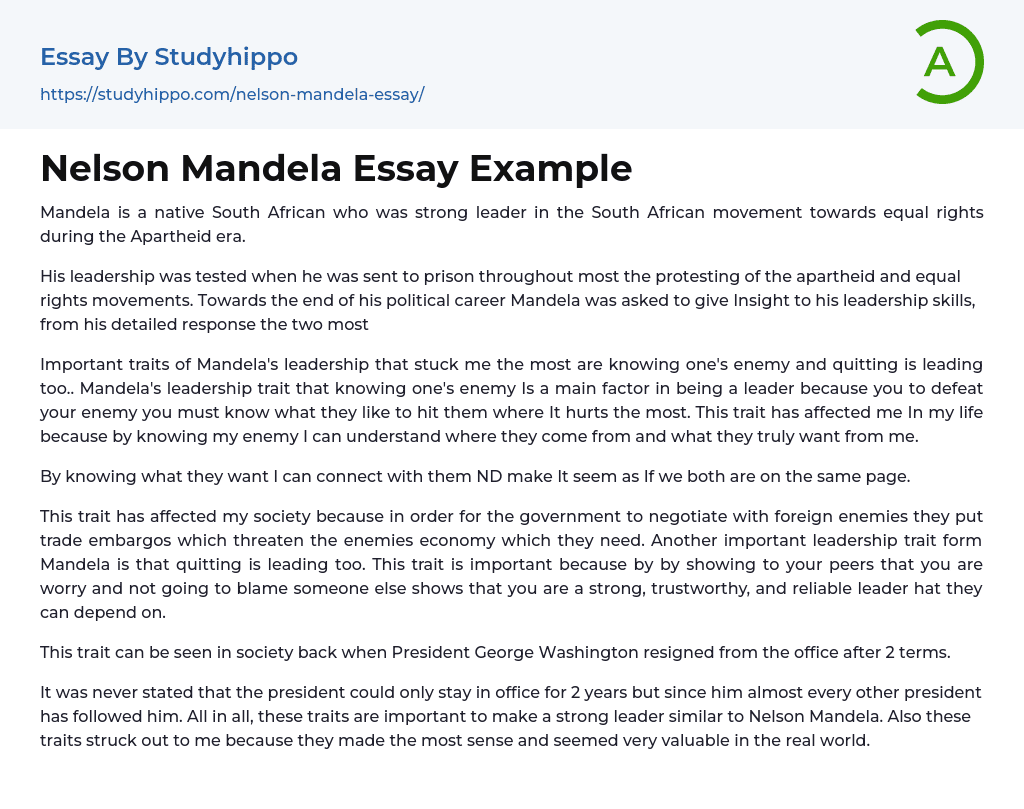 Nelson Mandela Essay Example