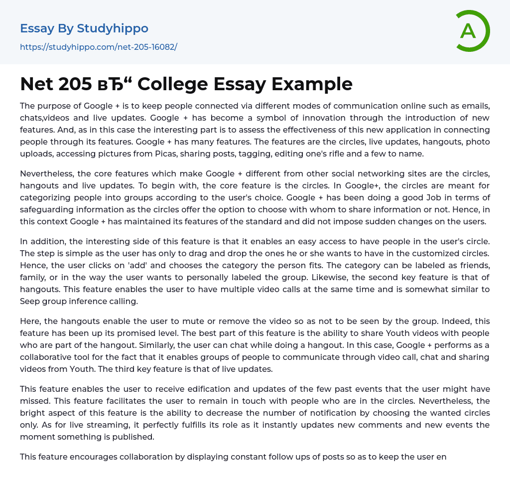 Net 205 College Essay Example