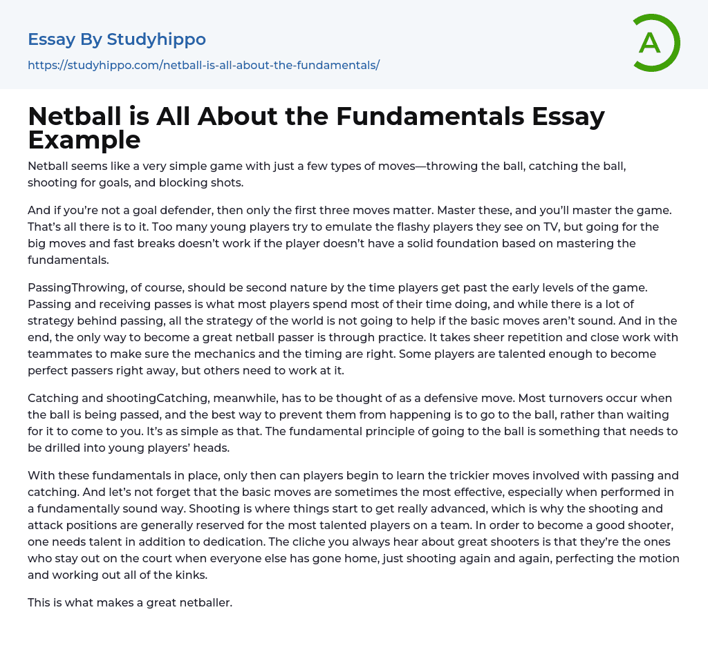 descriptive essay about netball
