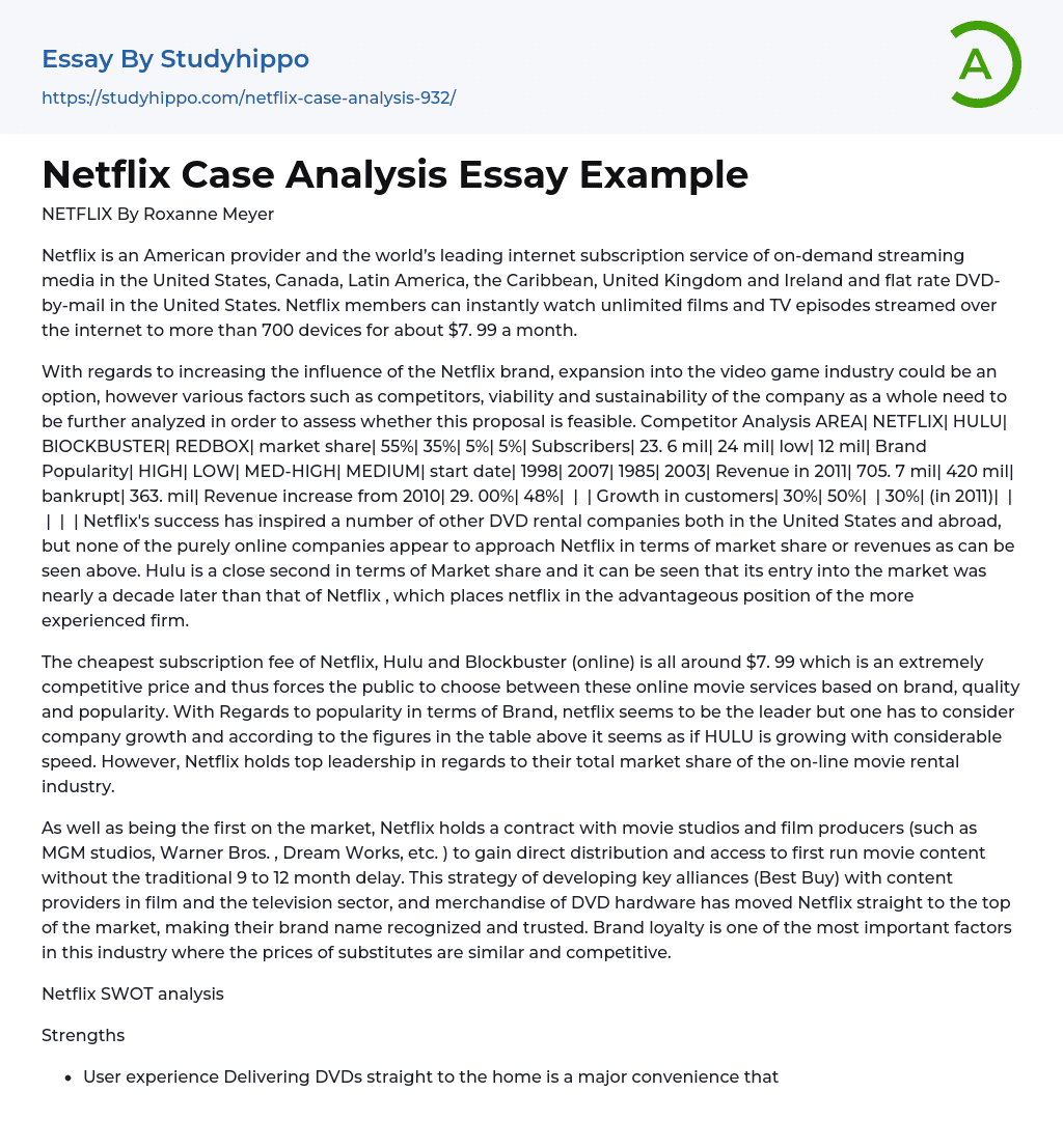 Netflix Case Analysis Essay Example