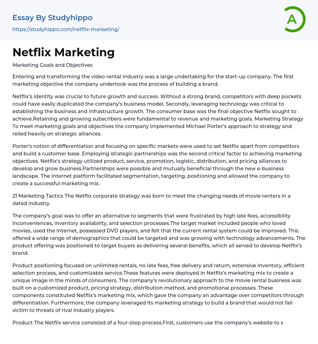 Netflix Marketing Essay Example