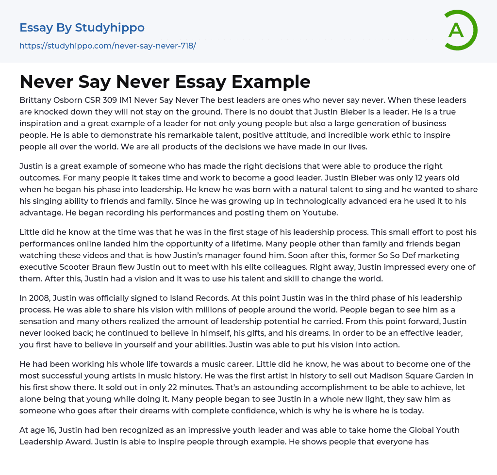 Justin Drew Bieber: Never Say Never Essay Example