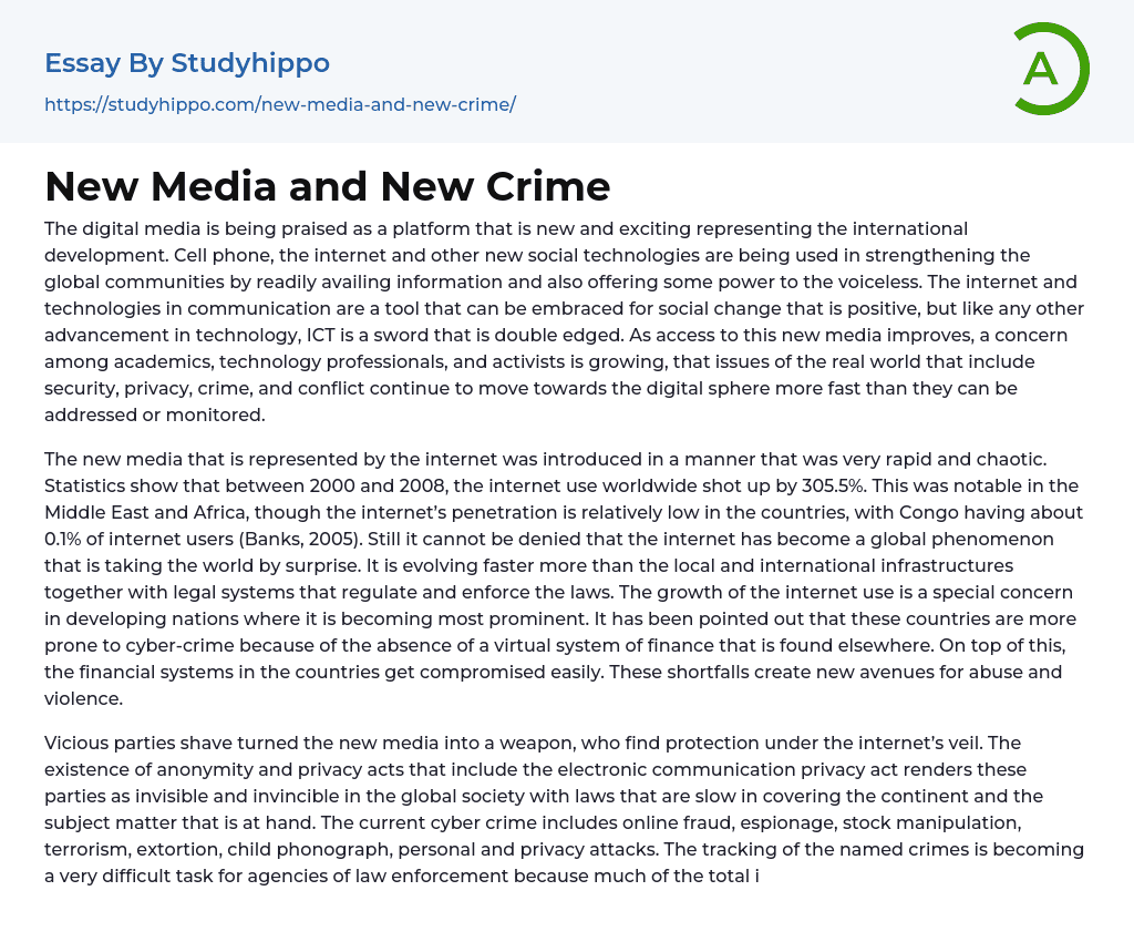 New Media and New Crime Essay Example