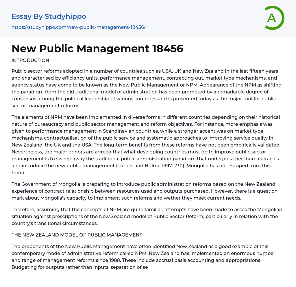 New Public Management 18456 Essay Example