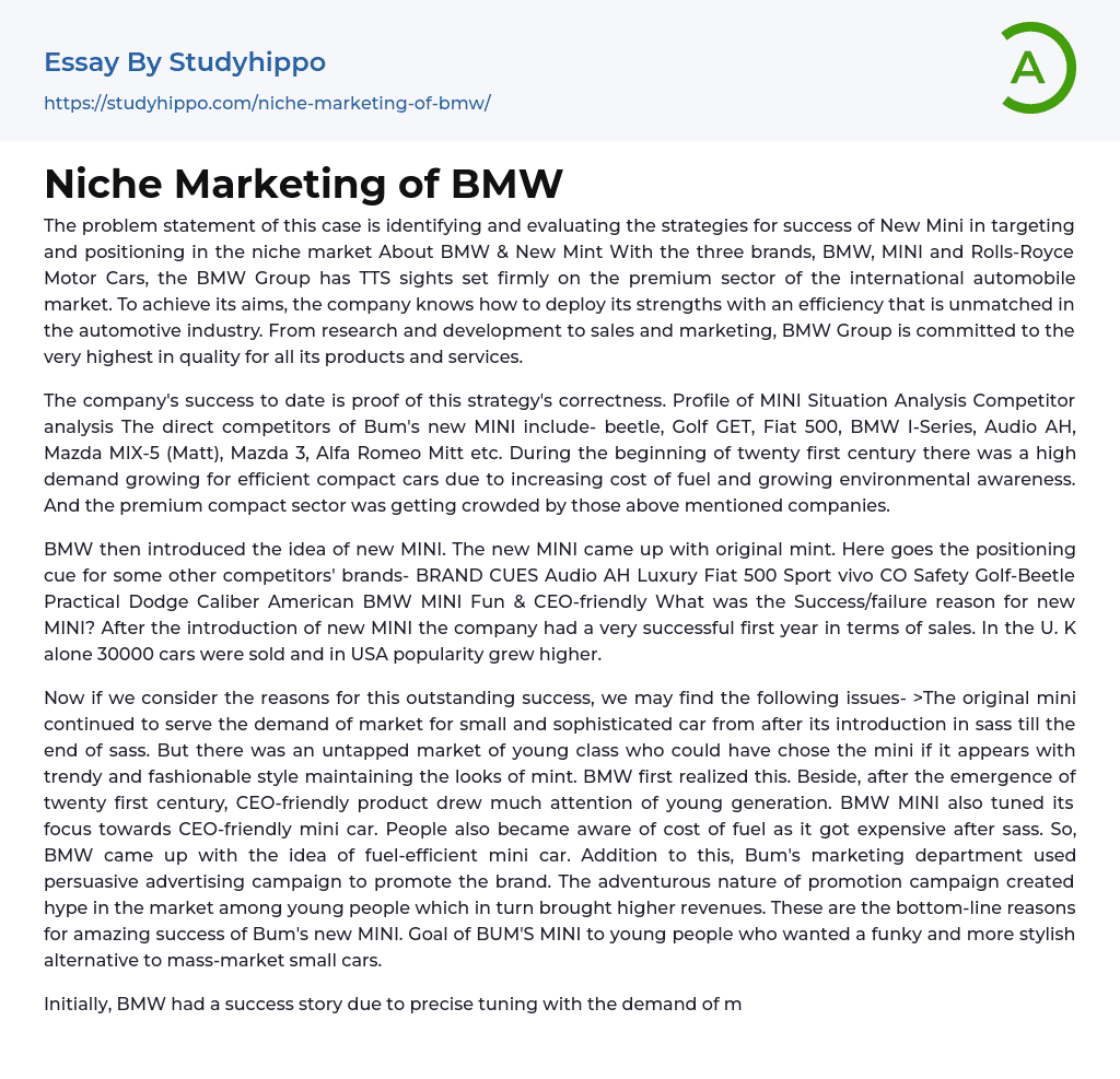 Niche Marketing of BMW Essay Example