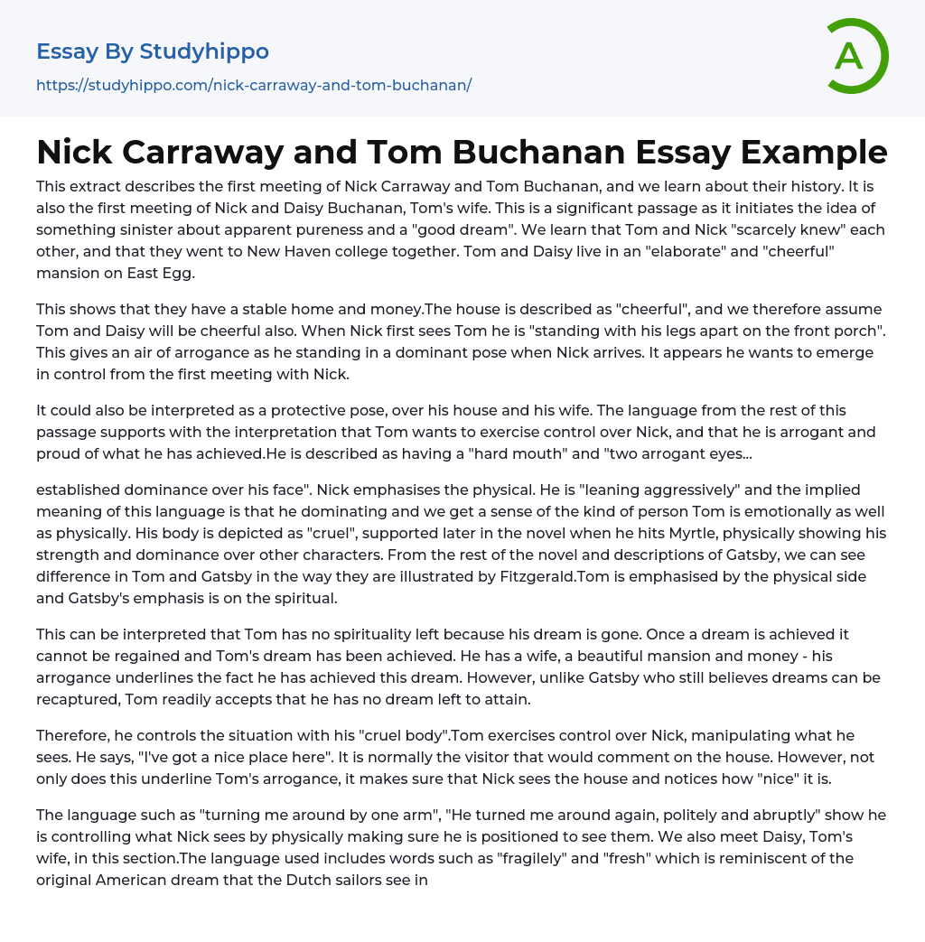 Nick Carraway and Tom Buchanan Essay Example