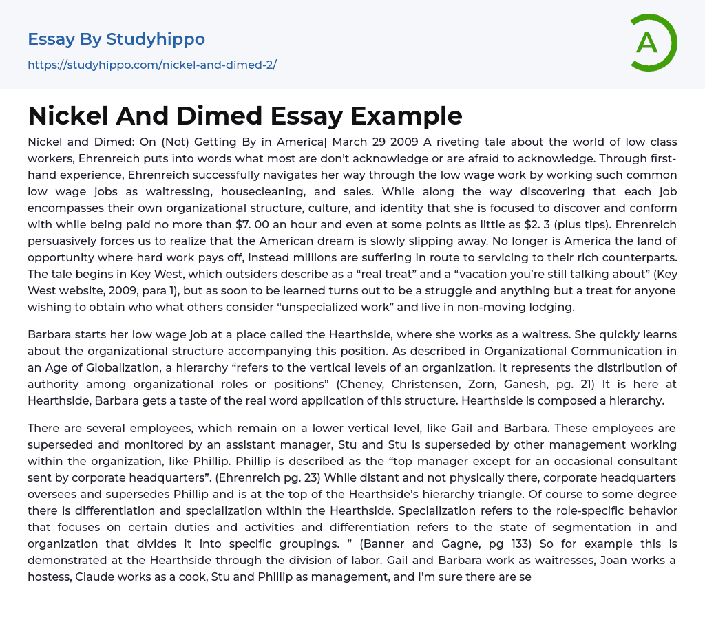 Nickel and Dimed: On (Not) Getting By in America Essay Example