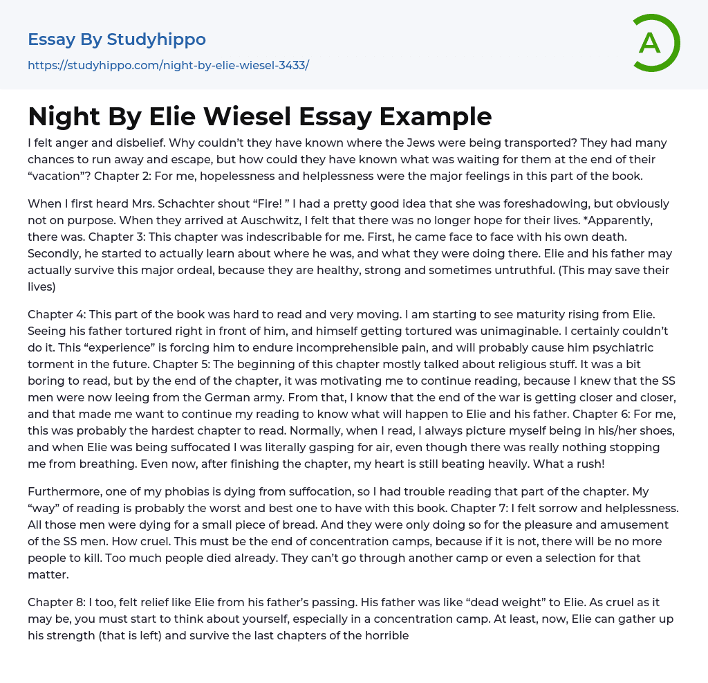 Night By Elie Wiesel Essay Example