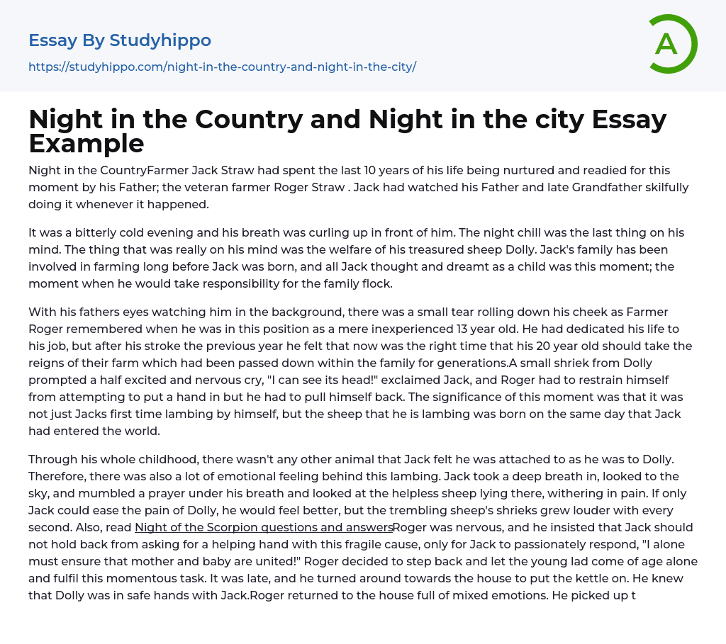 Night in the Country and Night in the city Essay Example