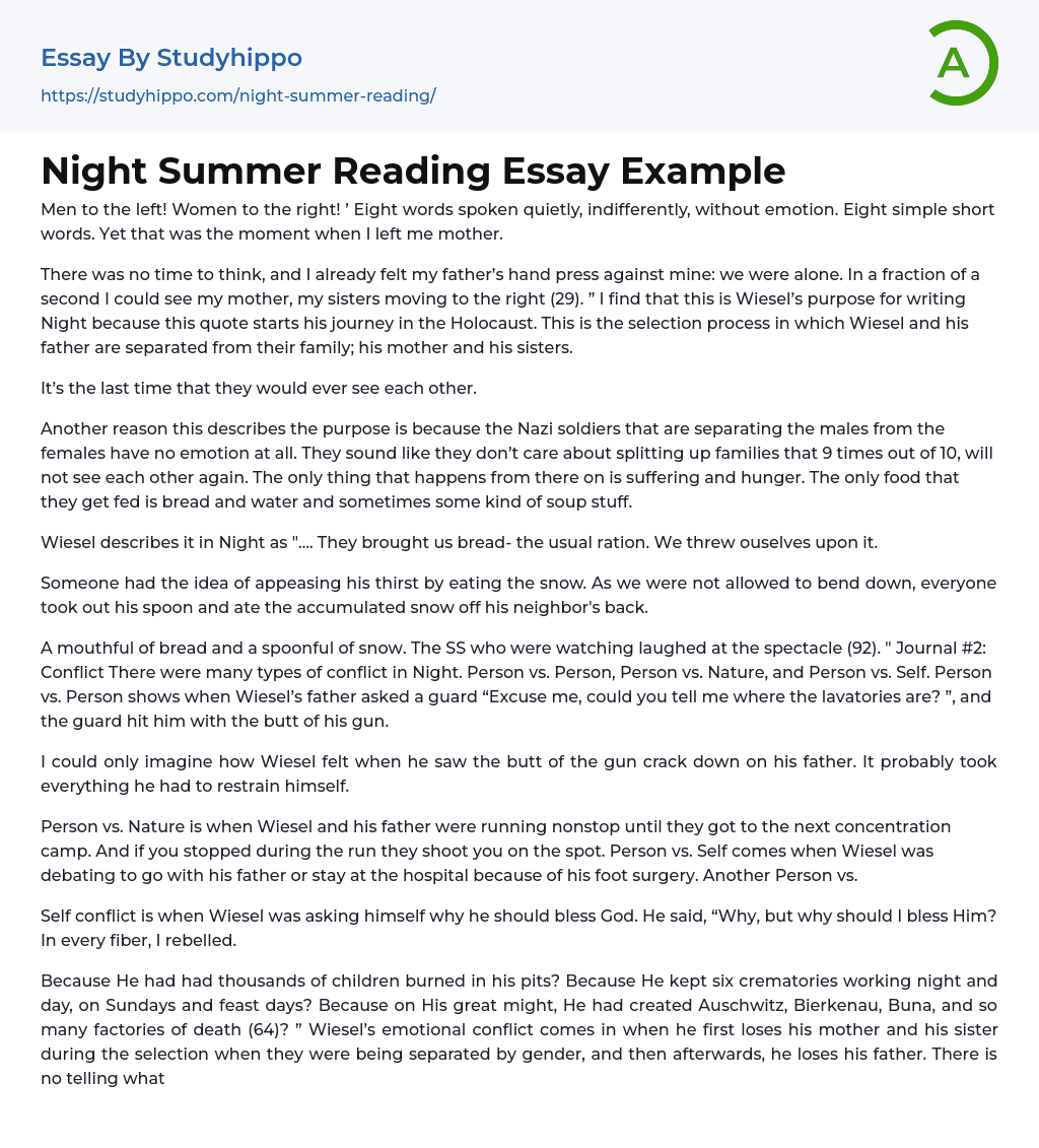 Night Summer Reading Essay Example
