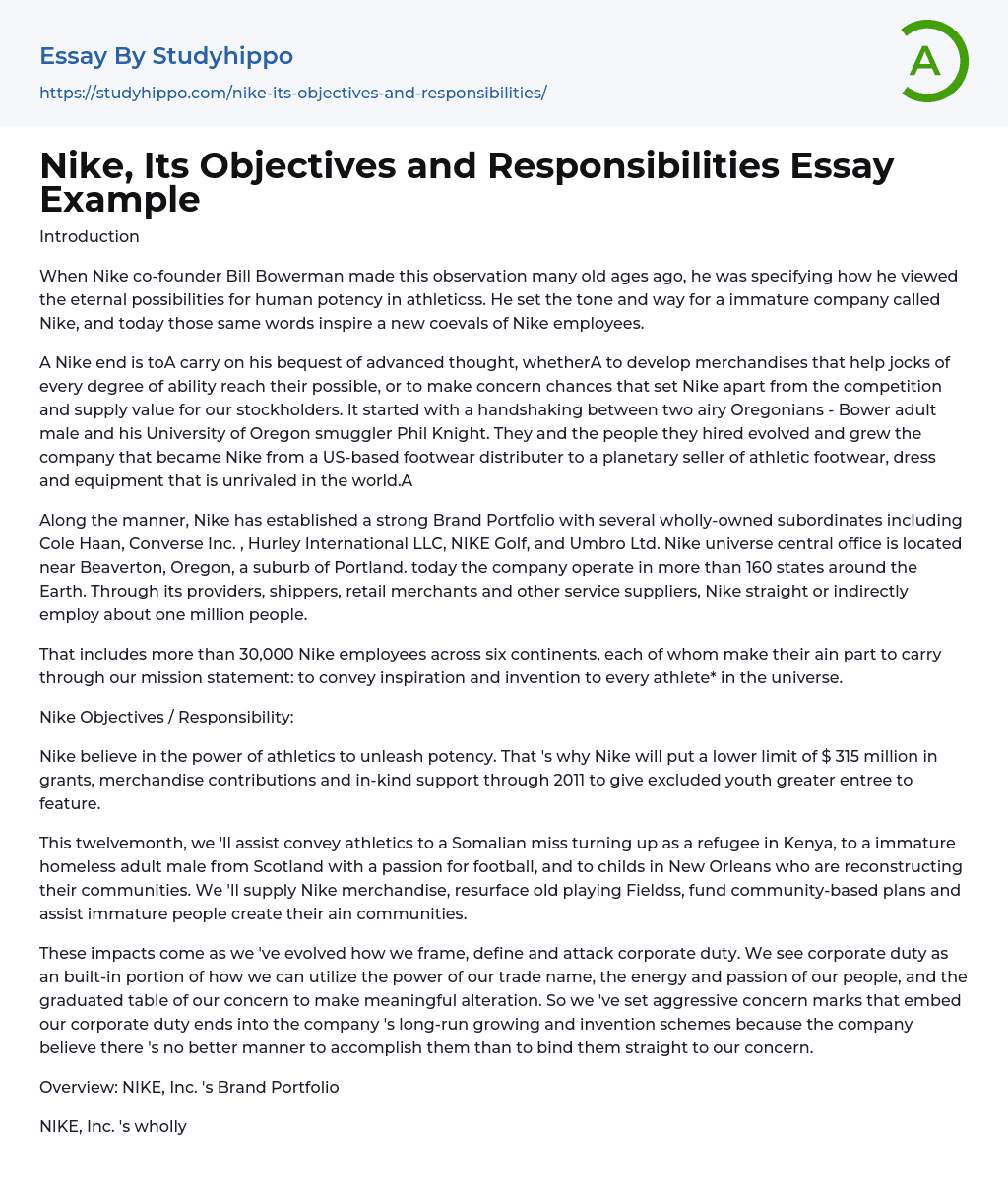 Nike, Its Objectives and Responsibilities Essay Example