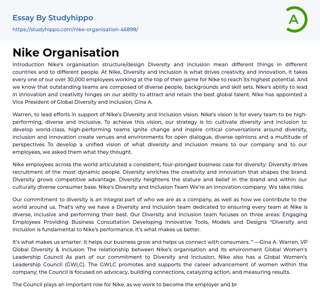 Nike Organisation Essay Example