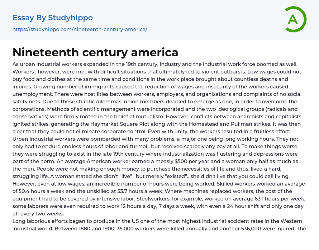 Nineteenth century america Essay Example