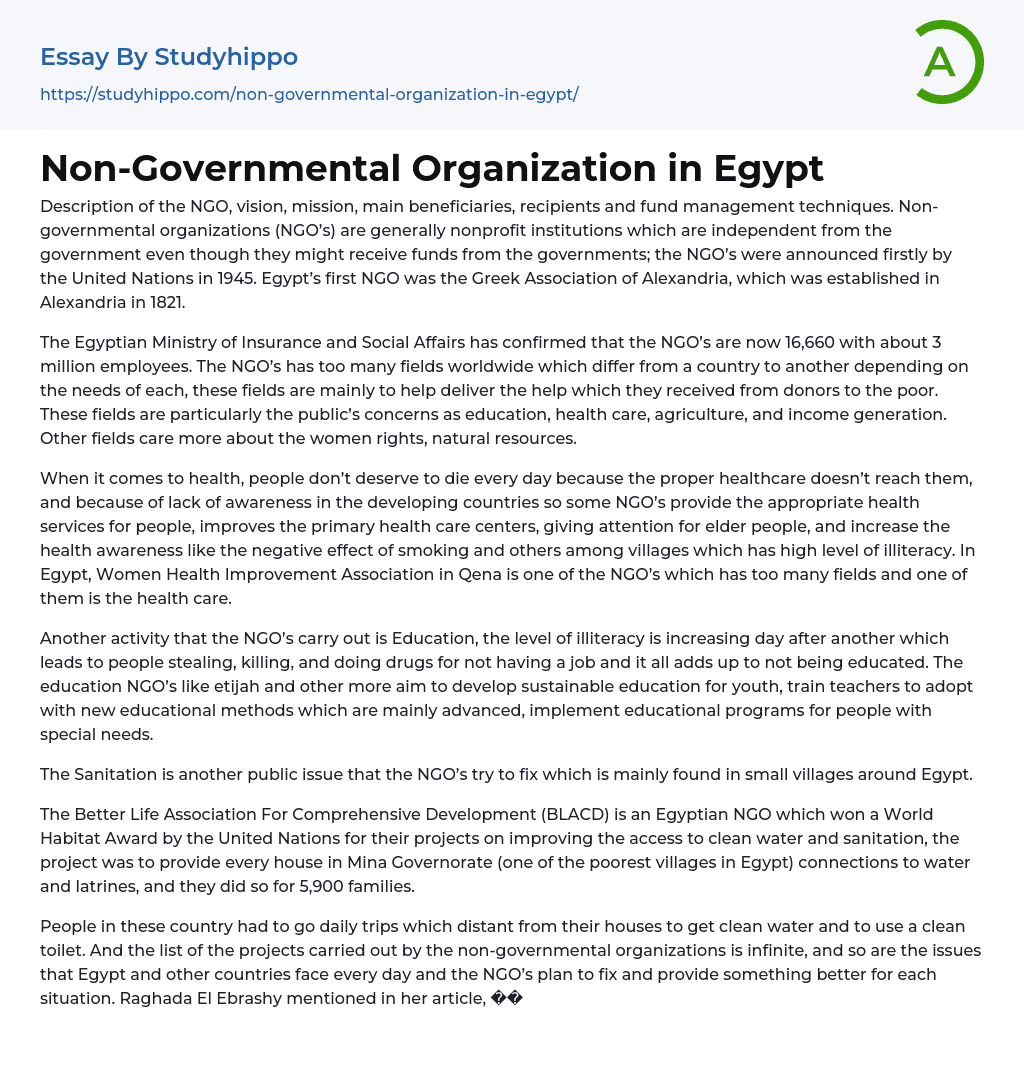 Non-Governmental Organization in Egypt Essay Example