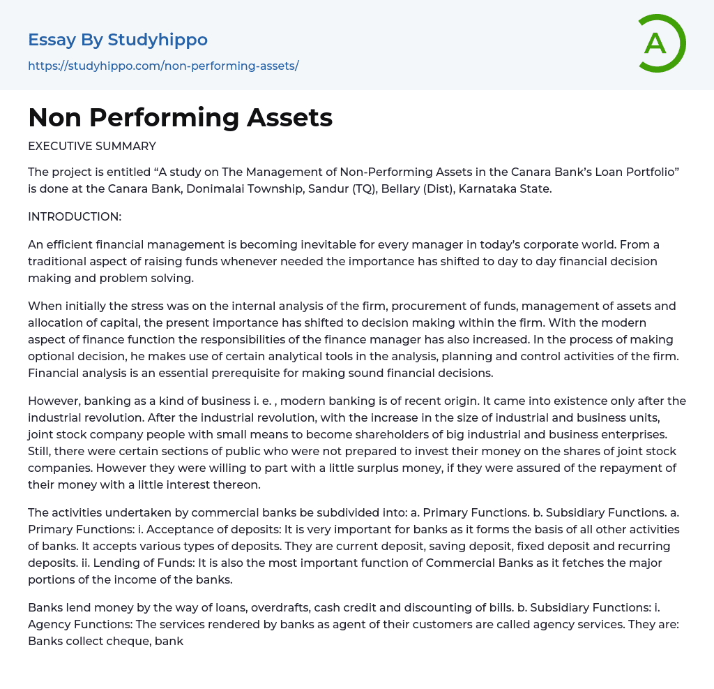 Non Performing Assets Essay Example