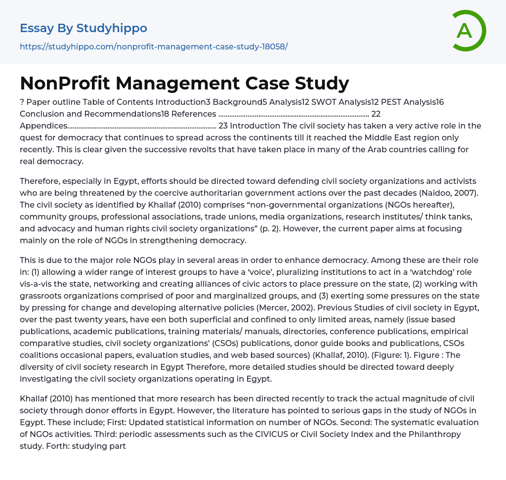 NonProfit Management Case Study Essay Example