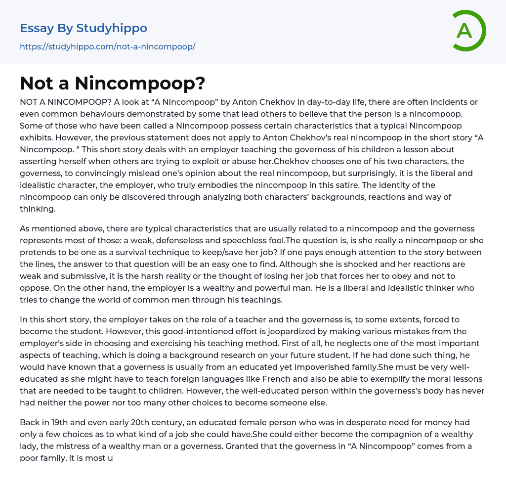 Not a Nincompoop? Essay Example