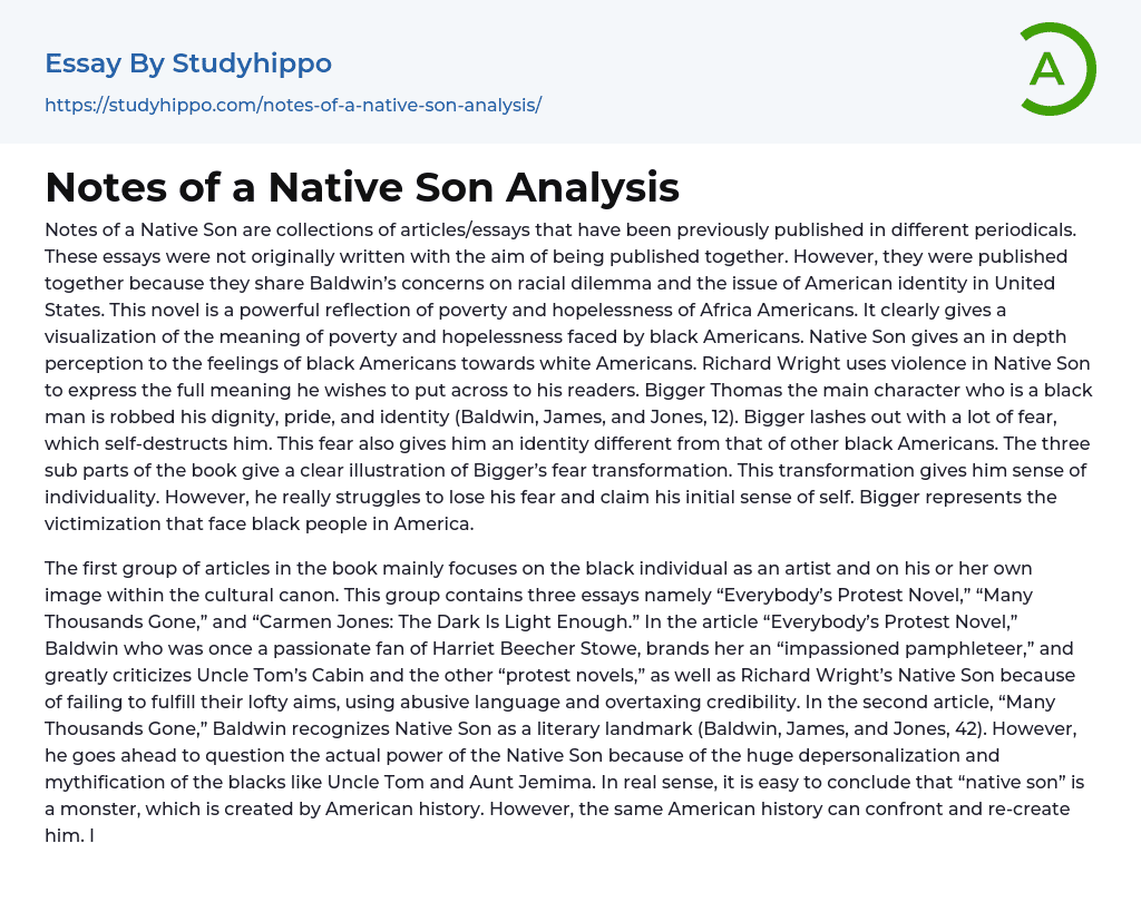 notes of a native son essay analysis