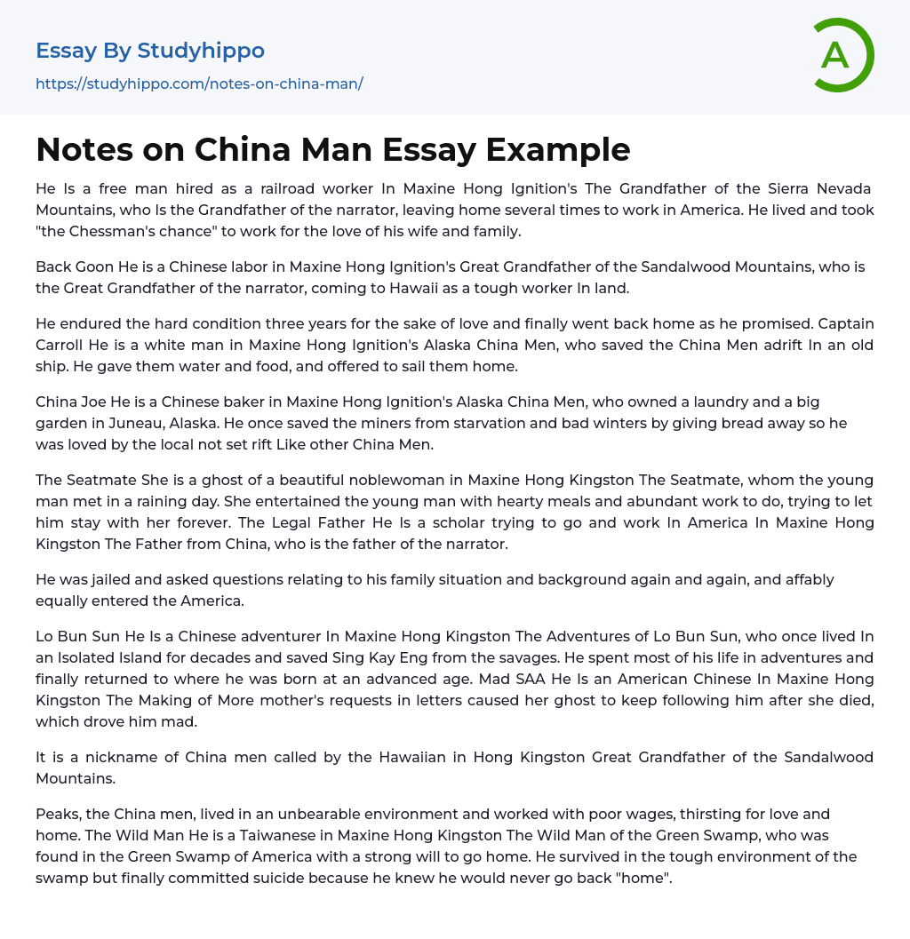 Notes on China Man Essay Example