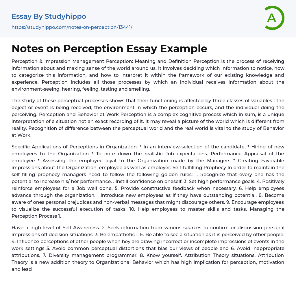 Notes on Perception Essay Example