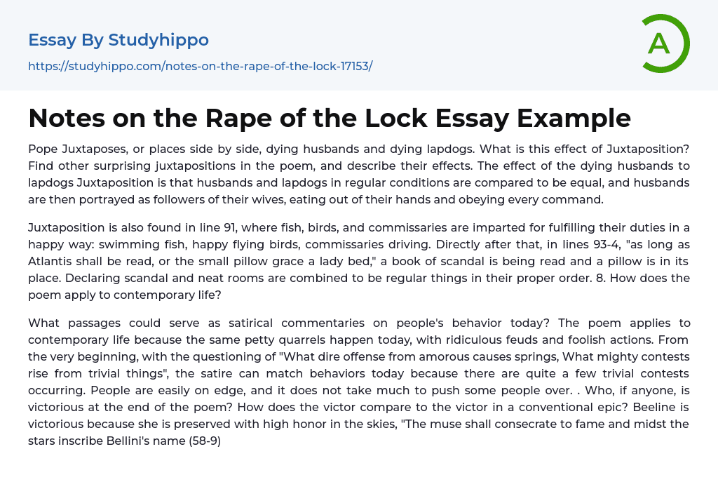 Notes on the Rape of the Lock Essay Example