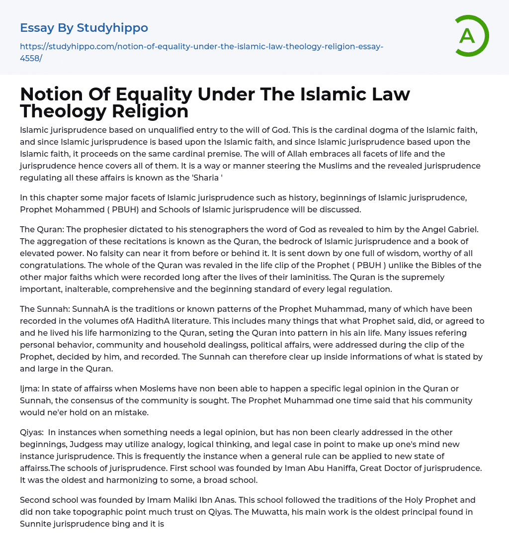 Notion Of Equality Under The Islamic Law Theology Religion Essay Example