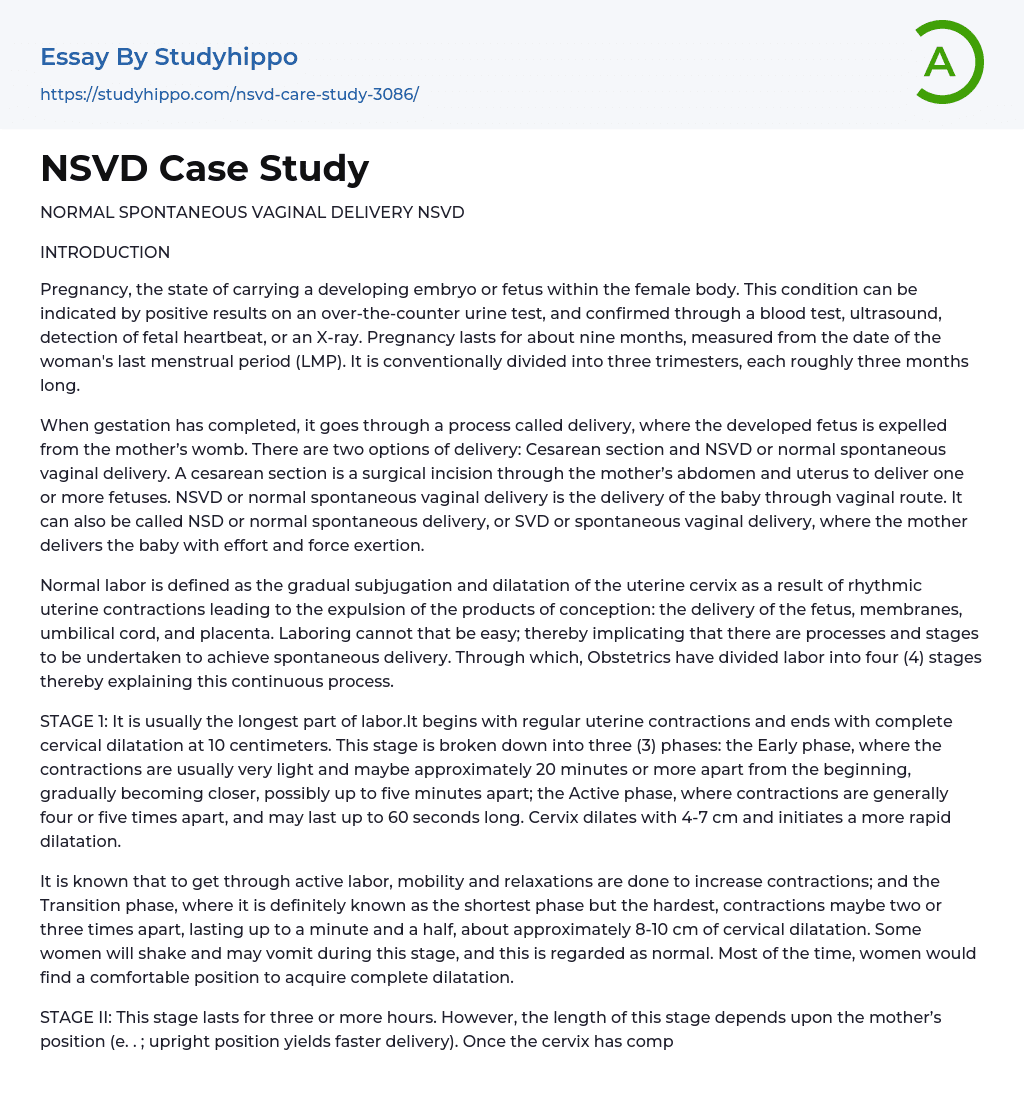 NSVD Case Study Essay Example