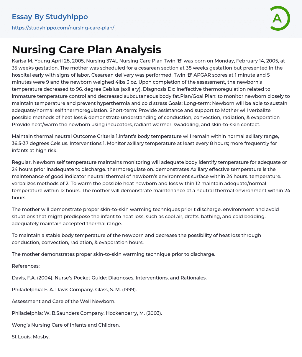 Nursing Care Plan Analysis Essay Example