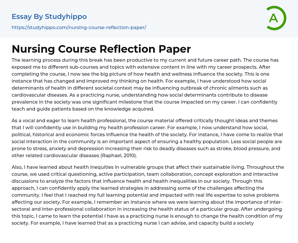 Nursing Course Reflection Paper Essay Example