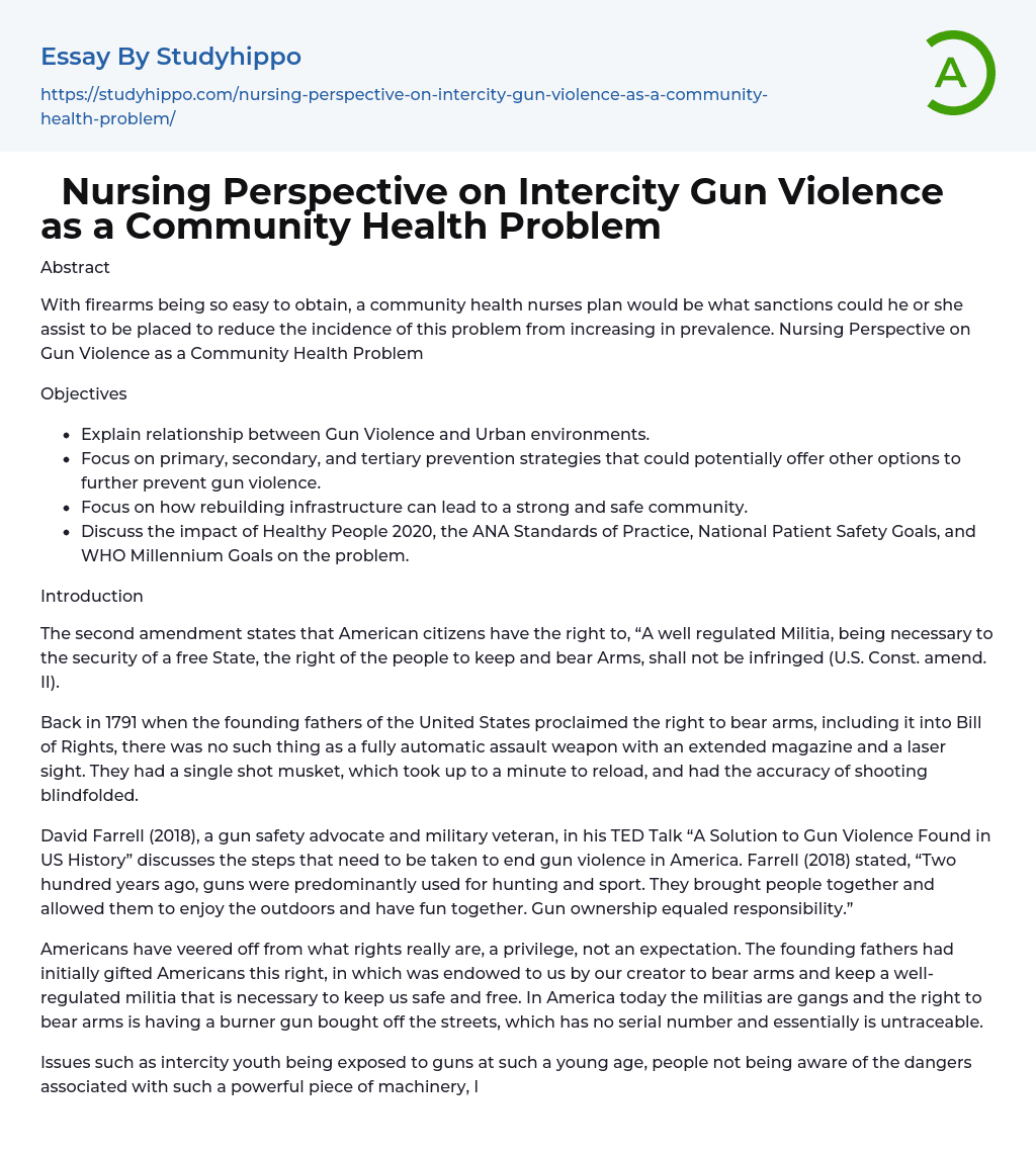 Nursing Perspective on Intercity Gun Violence as a Community Health Problem Essay Example