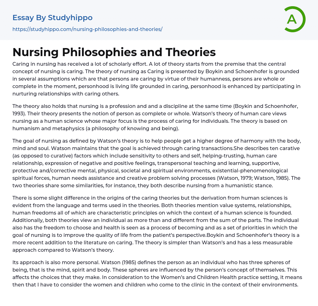 Nursing Philosophies and Theories Essay Example