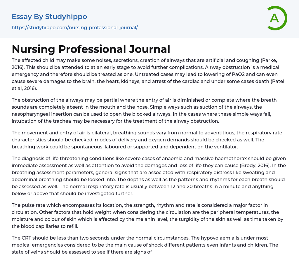 Nursing Professional Journal Essay Example