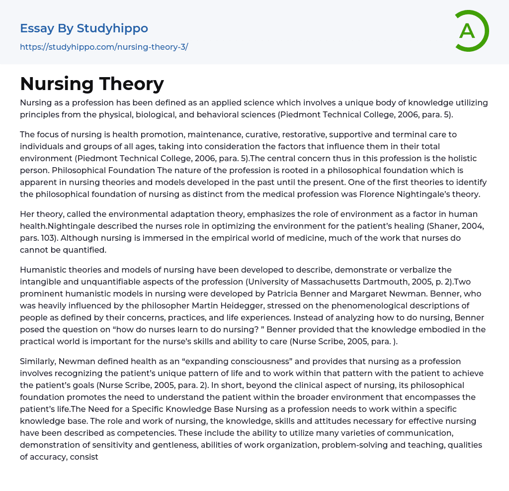 Nursing Theory Essay Example