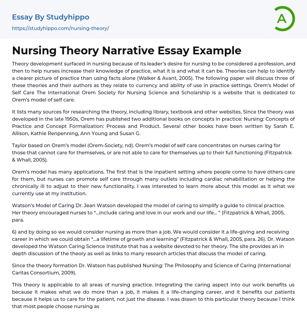 Nursing Theory Narrative Essay Example