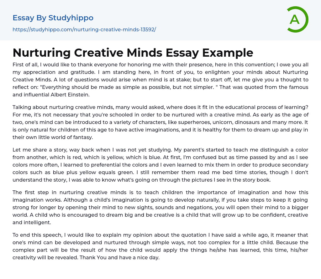 Nurturing Creative Minds Essay Example