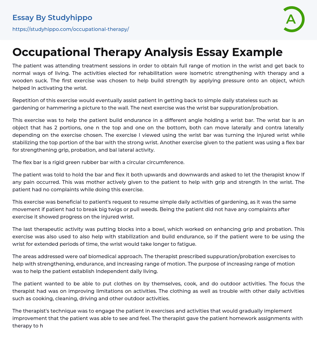 Occupational Therapy Analysis Essay Example