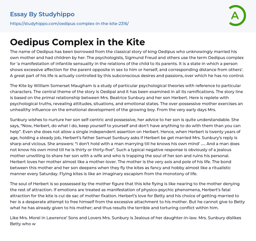 Oedipus Complex in the Kite Essay Example