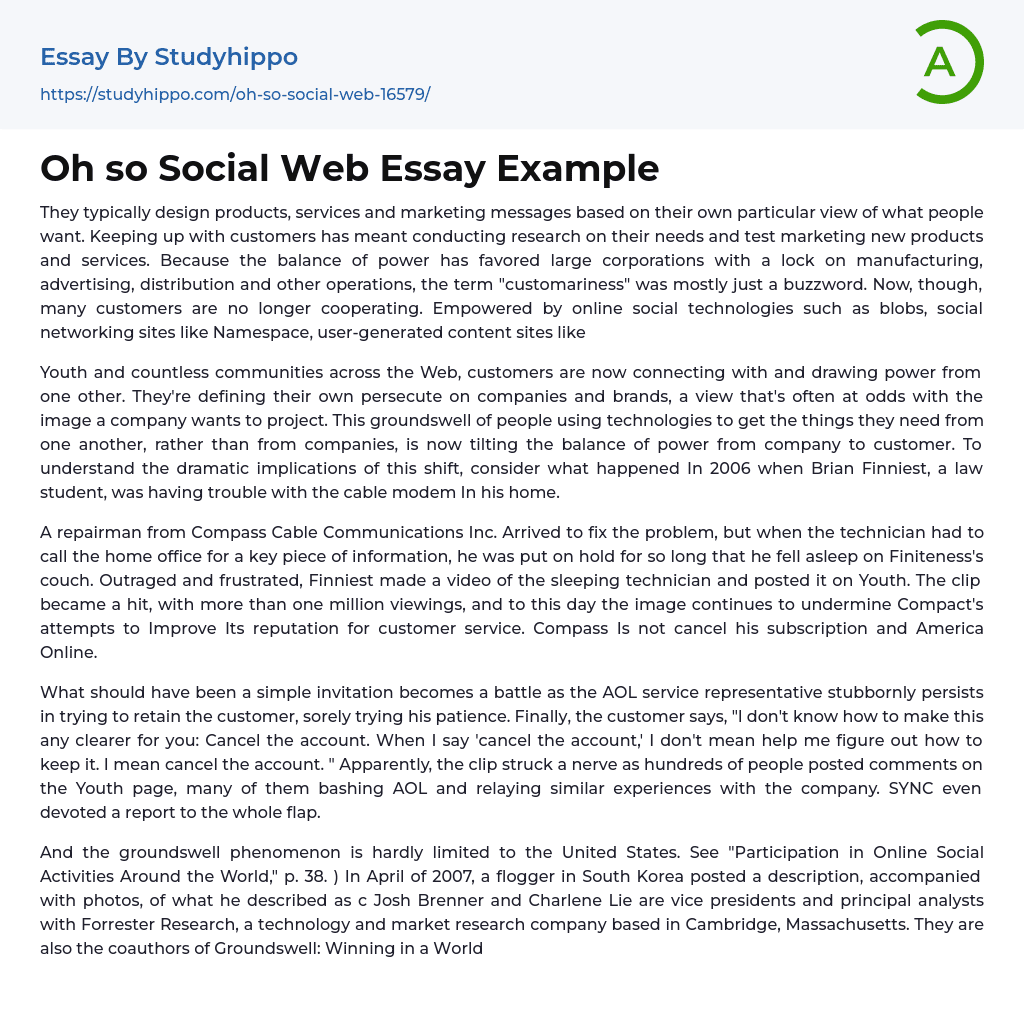 Oh so Social Web Essay Example