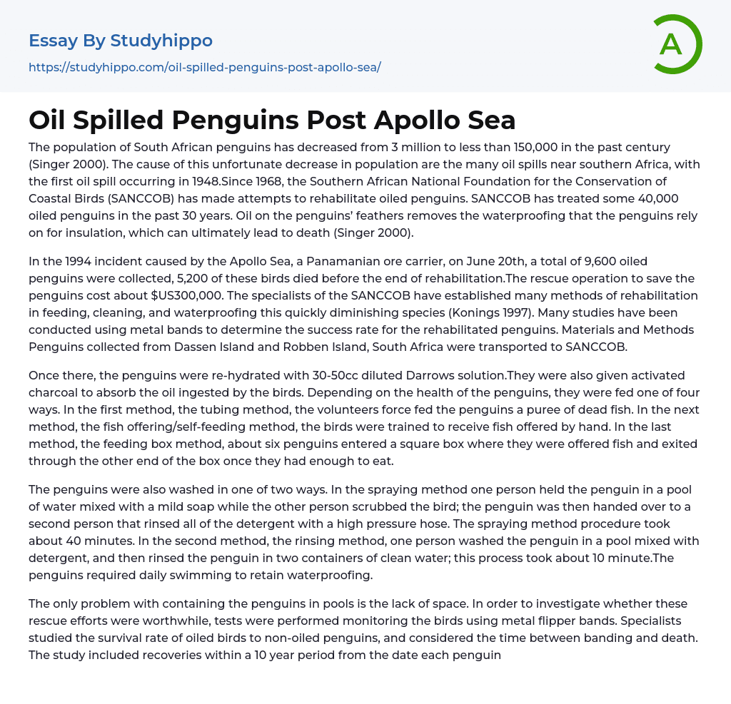 Oil Spilled Penguins Post Apollo Sea Essay Example