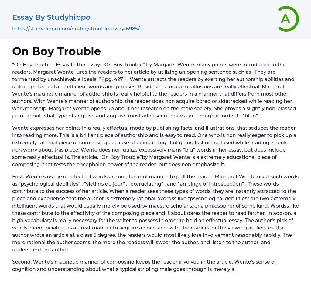 On Boy Trouble Essay Example