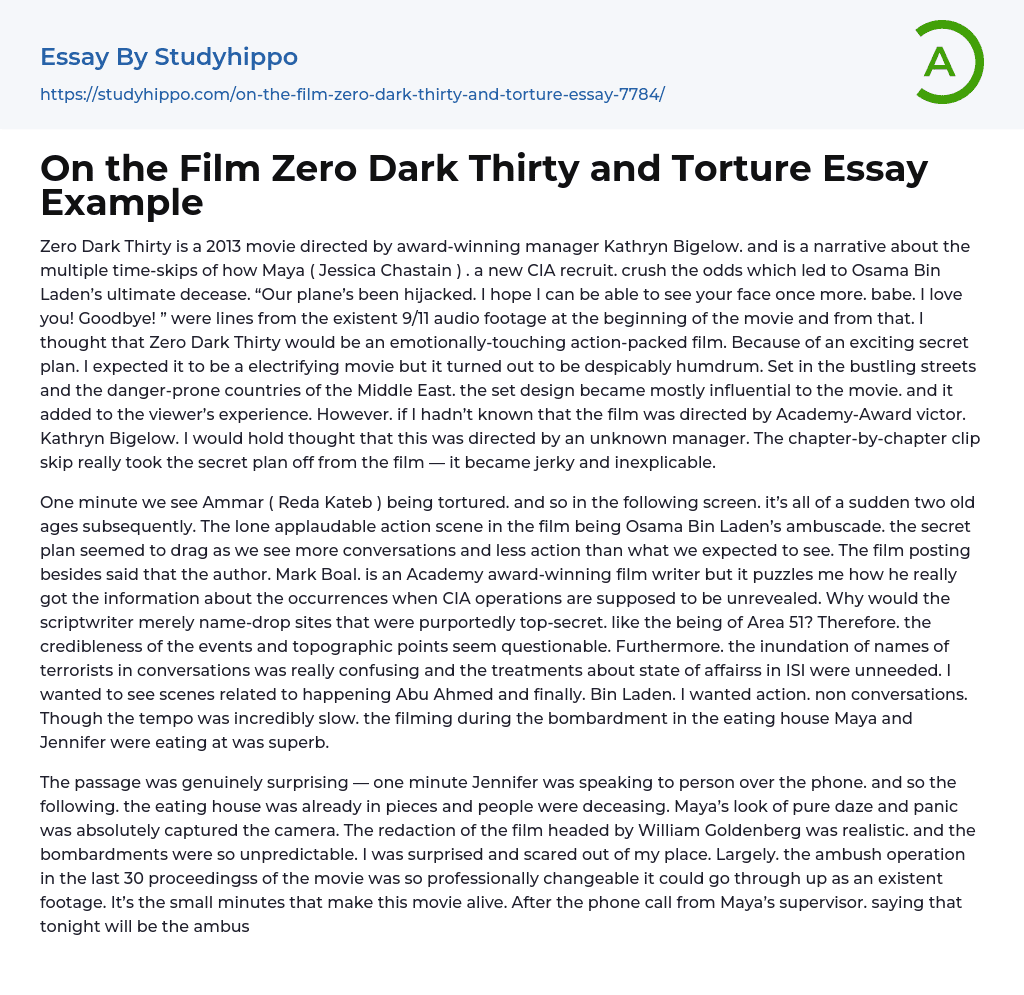 On the Film Zero Dark Thirty and Torture Essay Example