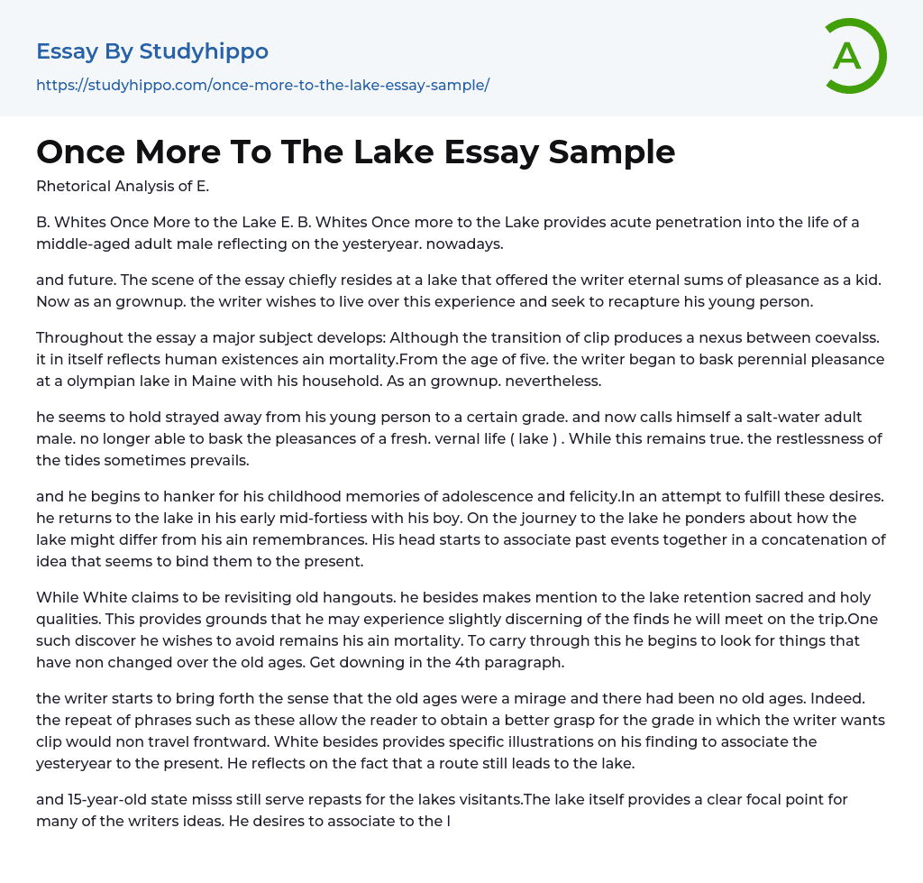 Once More To The Lake Essay Sample