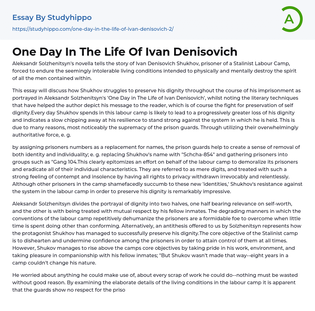 One Day In The Life Of Ivan Denisovich Essay Example
