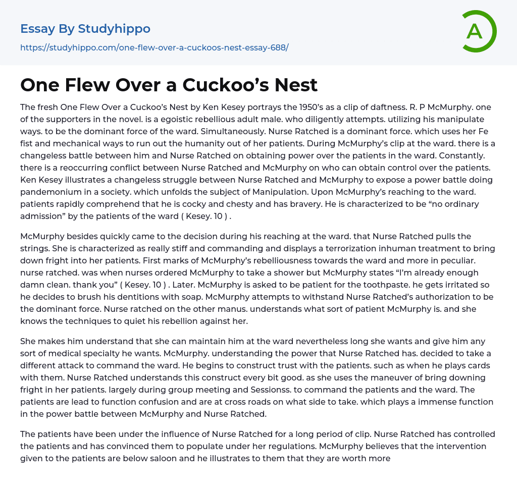One Flew Over a Cuckoo’s Nest Essay Example