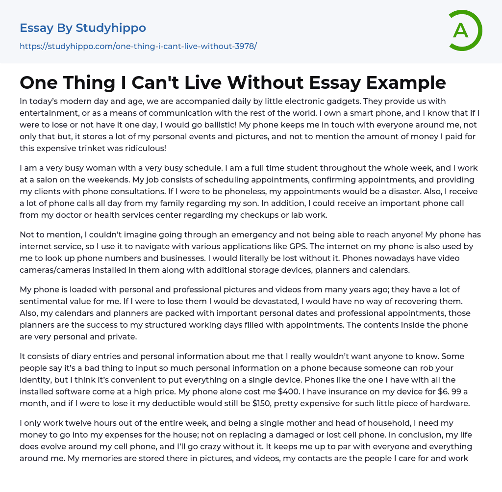 One Thing I Can’t Live Without Essay Example