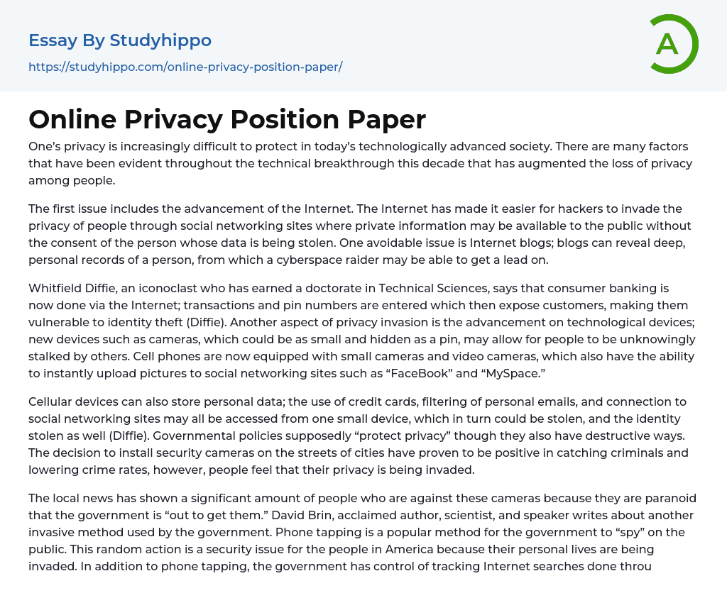 Online Privacy Position Paper Essay Example