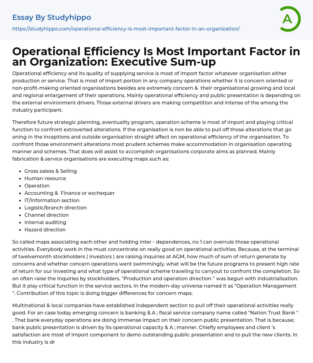 Operational Efficiency Is Most Important Factor in an Organization: Executive Sum-up Essay Example