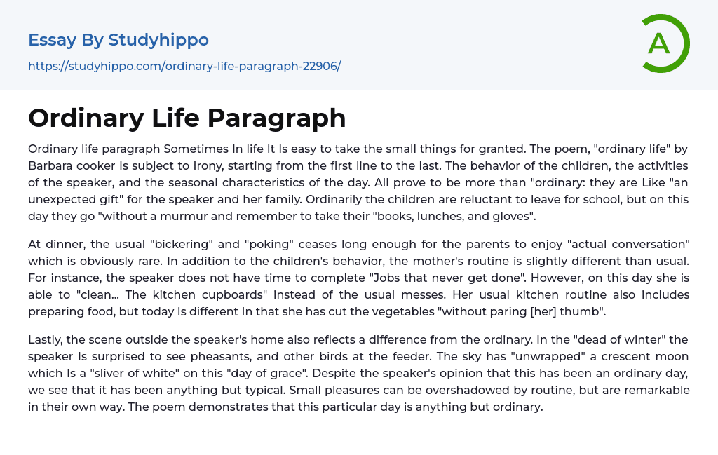 Ordinary Life Paragraph Essay Example